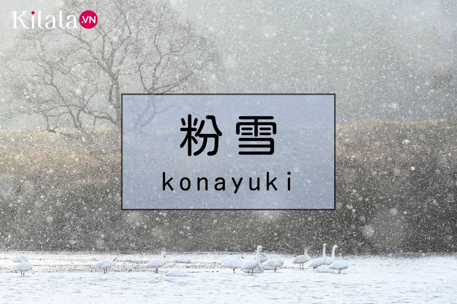 konayuki